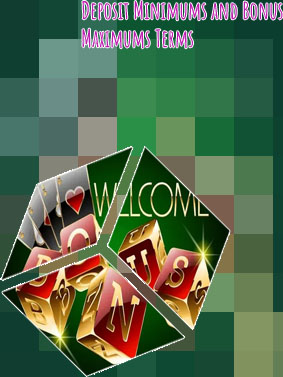 Casino bonus terms
